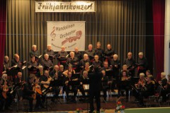 6. März 2016 Frühjahrskonzert des Mandolinenorchestors der Naturfreunde Bretten/Berghausen