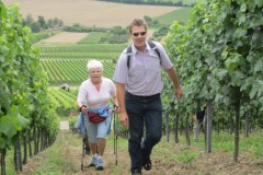 Wanderung zur Heuchelberger Warte am 15.07.2011